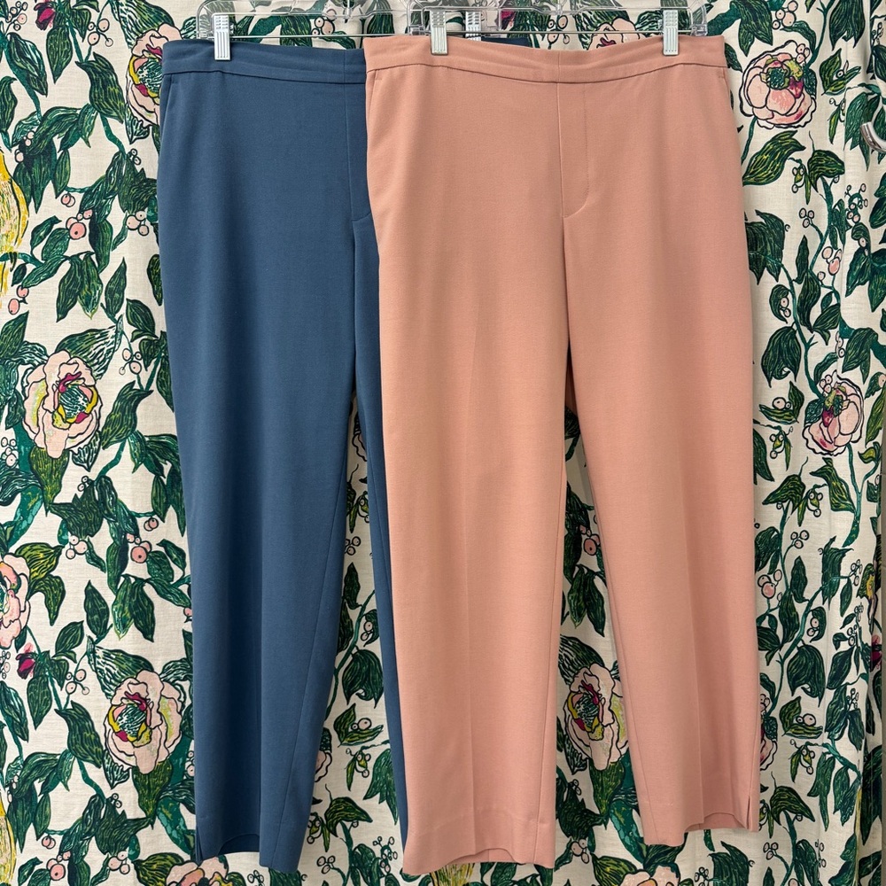 Banana Republic Hayden Pants | Size 14